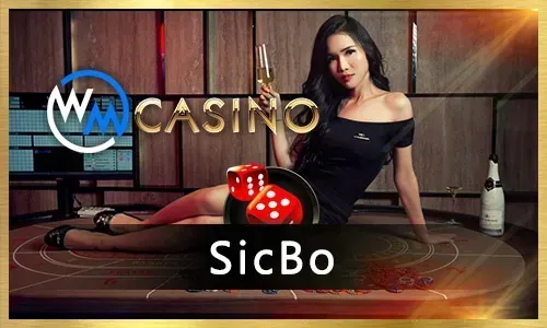 Poker & Card Games